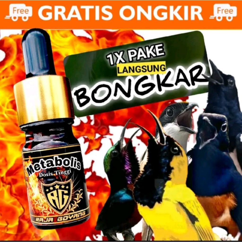 RG METABOLIS VITAMIN BURUNG RAJA GOYANG RG METABOLIS DOSIS TINGGI VITAMIN BURUNG BEST SELLER