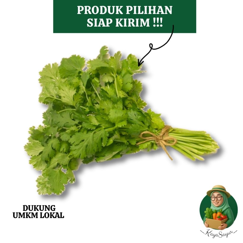 

Seledri Fresh