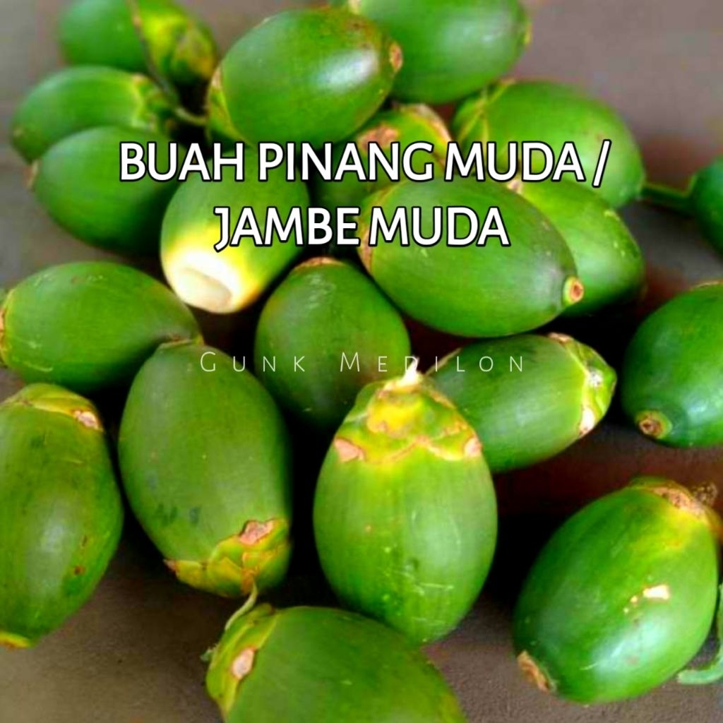 

BUAH PINANG MUDA / BUAH JAMBE