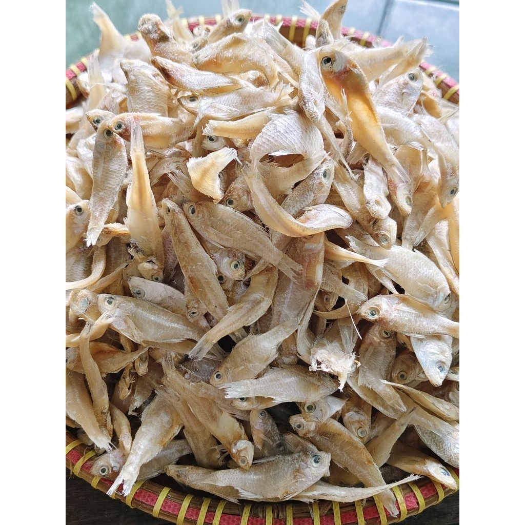 

ikan bengka / ikan klapan / ikan sredeng kering