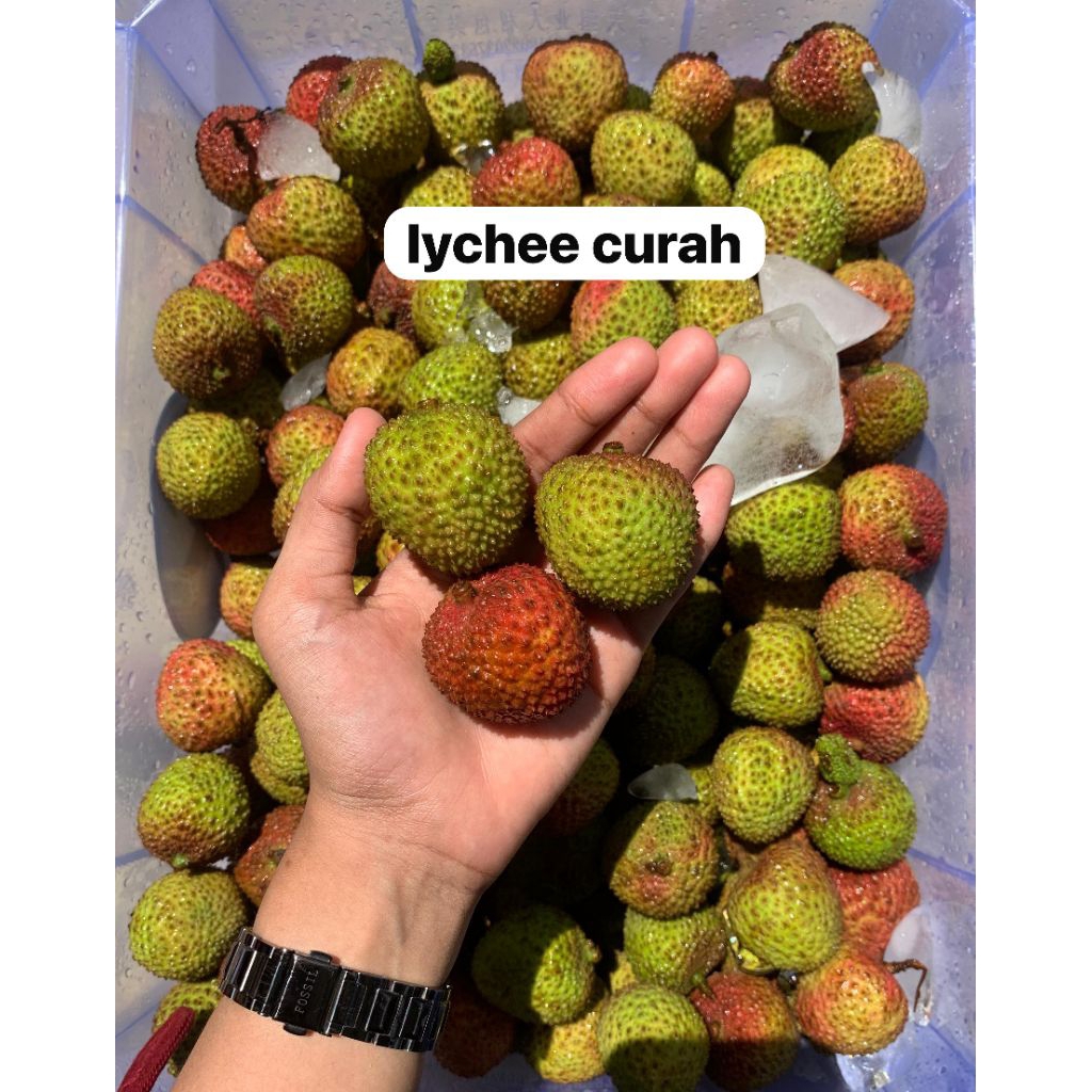 

Leci Curah 1kg