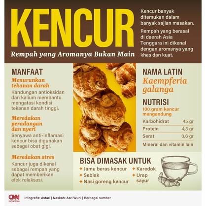 

5 gram KENCUR CIKUR MURNI KERING BUBUK HIGIENIS