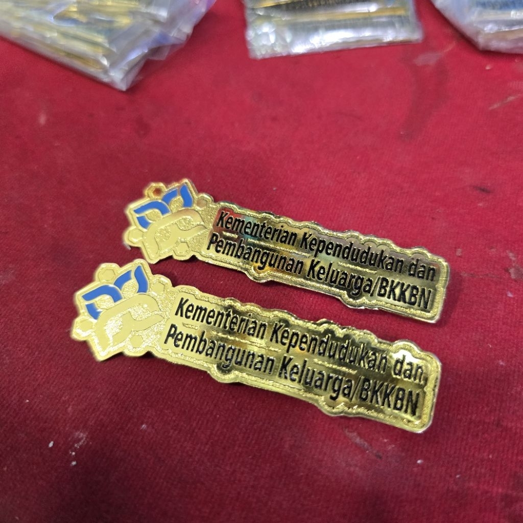 pin kemendukbangga BKKBN