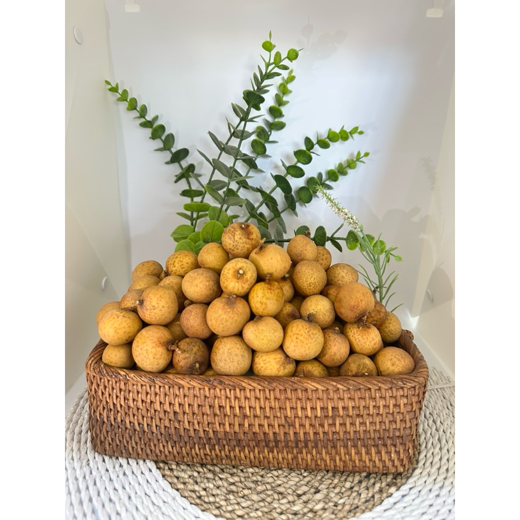 

Parpokat | Longan Thailand - 500 gr