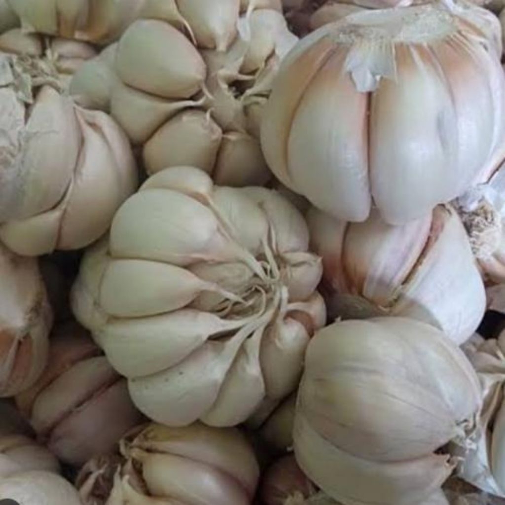 

BAWANG PUTIH KEMASAN 500GR