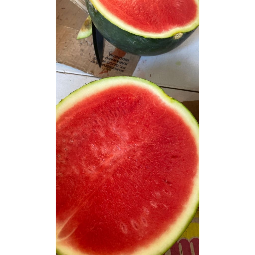 

semangka non biji 1kg