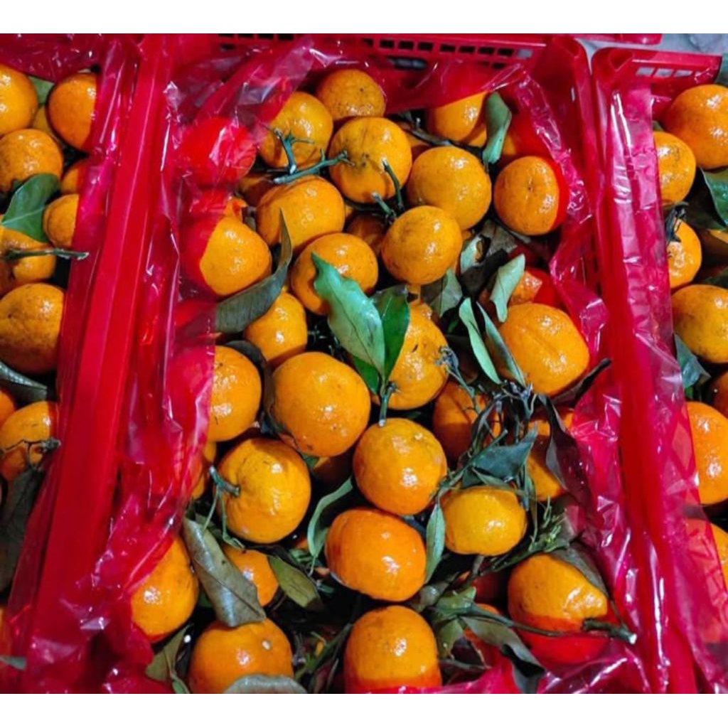 

jeruk orange manis 1kg