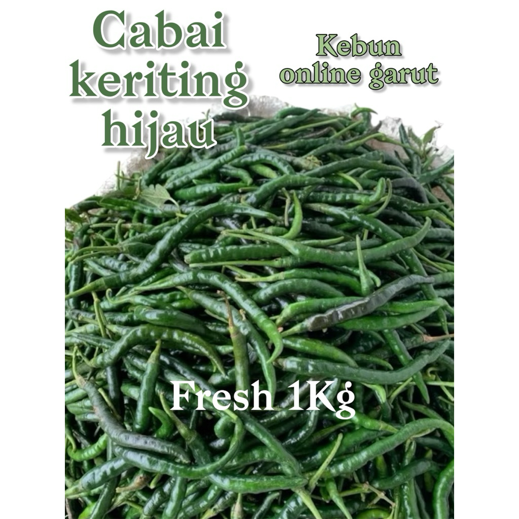 

Cabai hijau keriting fresh 1kg-kemasan rapi aman