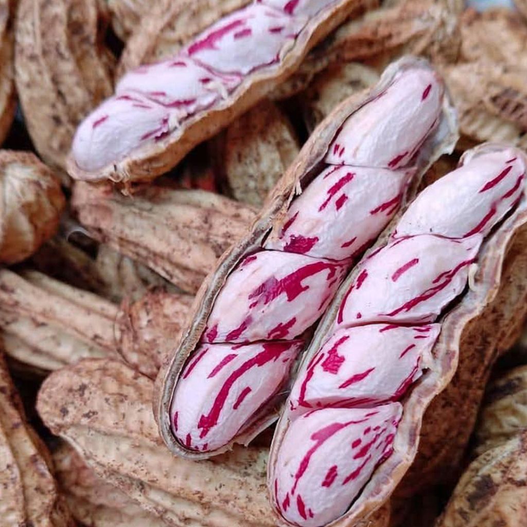 

Kacang Lurik Madu 1 Kilogram