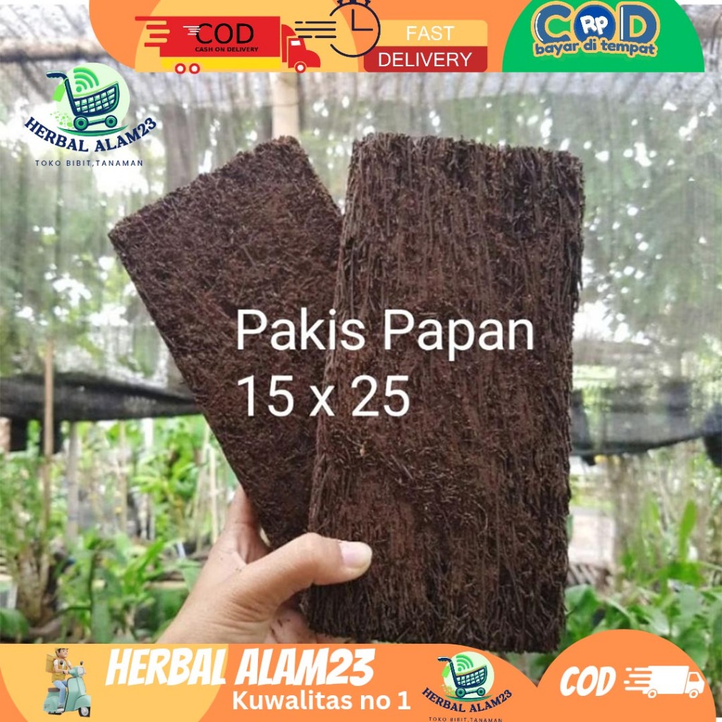 Media Akar Pakis Papan Lempeng 15 x 25 Anggrek Sedang Besar