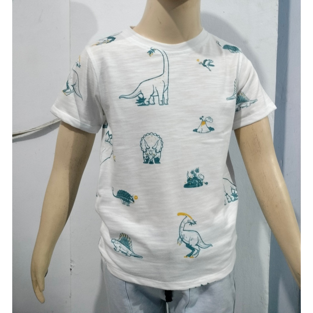 KAOS DINOSAURUS ANAK LAKI LAKI