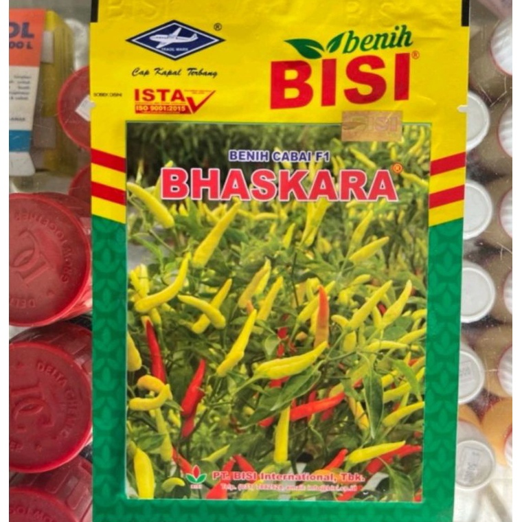 KODE L98Y Bibit Cabai Rawit Bhaskara 1 Gram Bisi Kapal Terbang