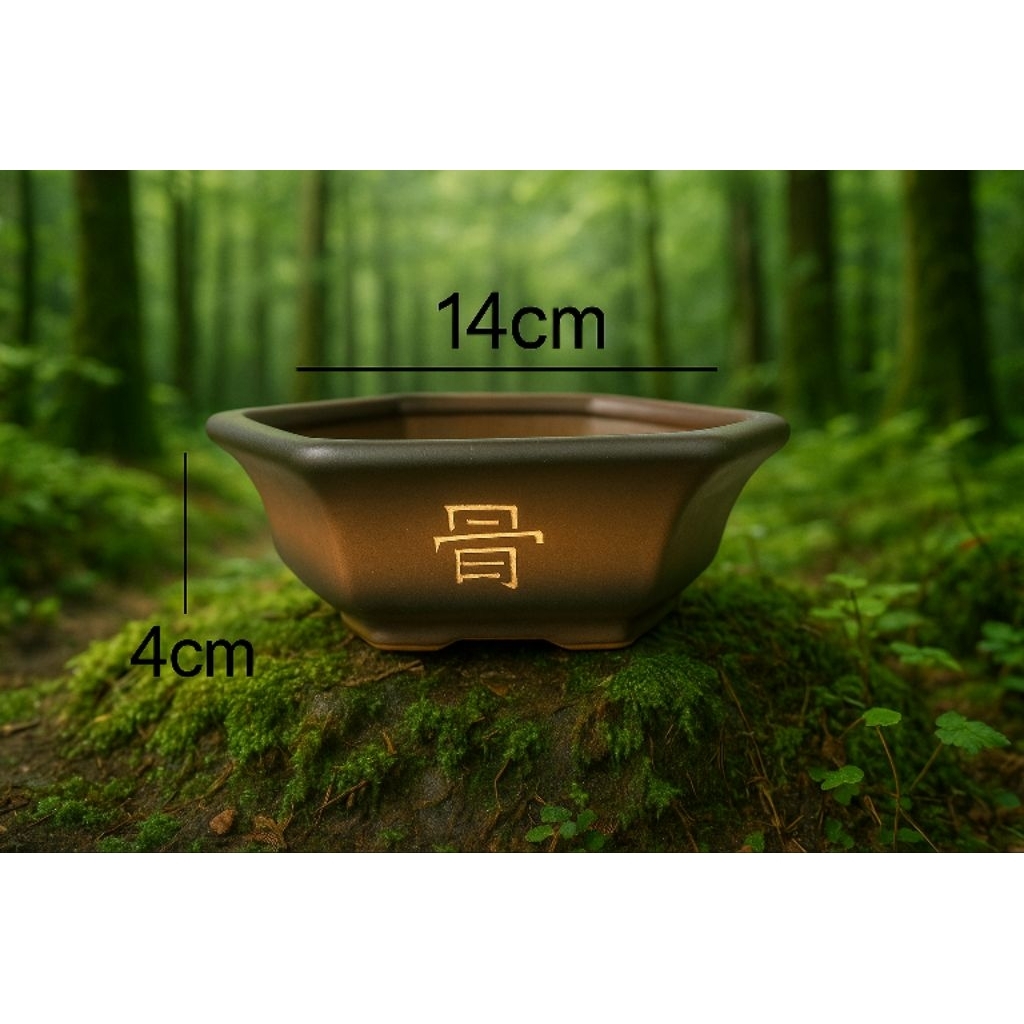 COD / POT KERAMIK SEGI ENAM