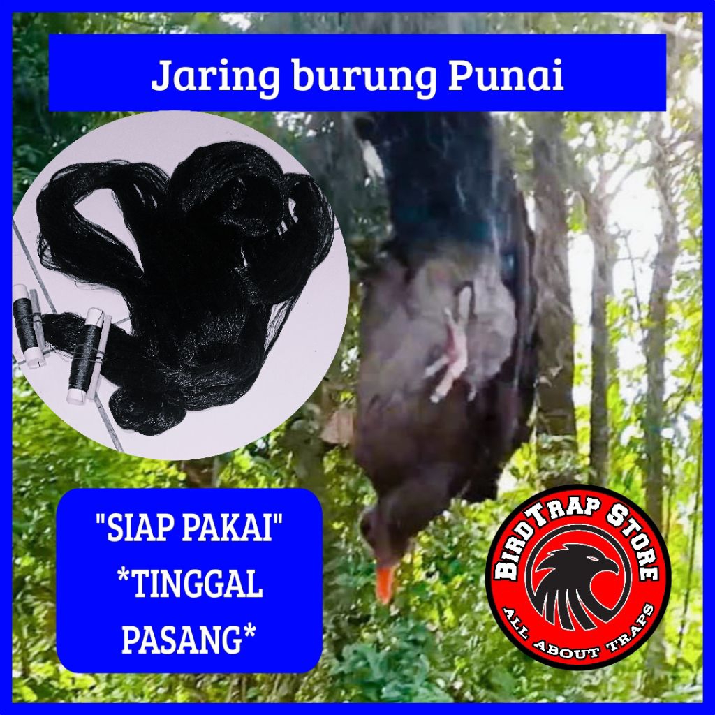 Jaring burung punai 20 meter, jaring burung punai siap pakai tinggal pasang panjang 20 m, jebakan bu