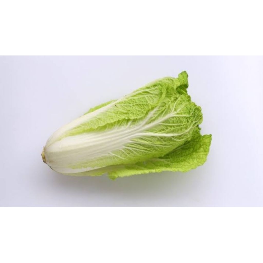 

Sawi Putih Fresh Segar Sayur