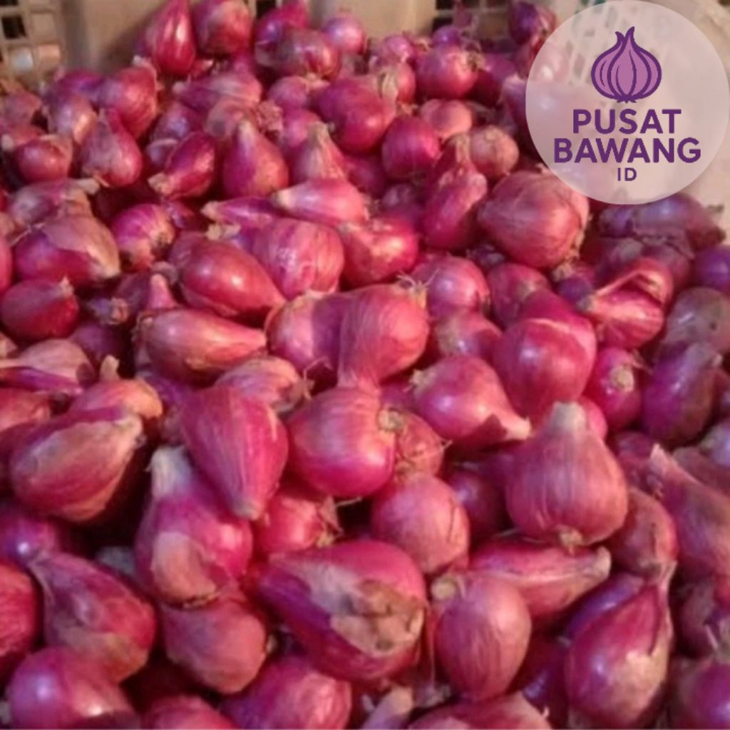 

BAWANG MERAH BREBES FRESH - 500 GRAM