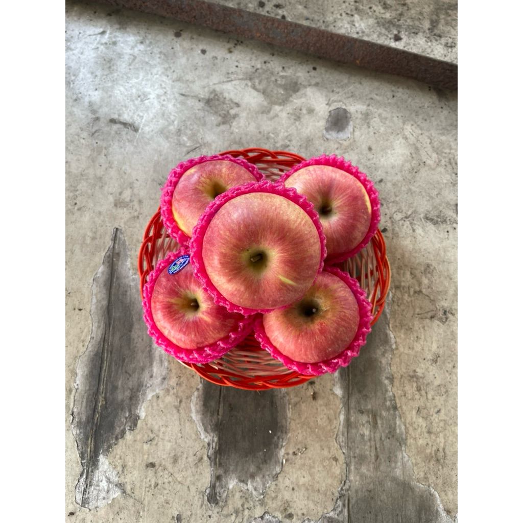 

buahfreshku - Apel Fuji Cina 1 kg