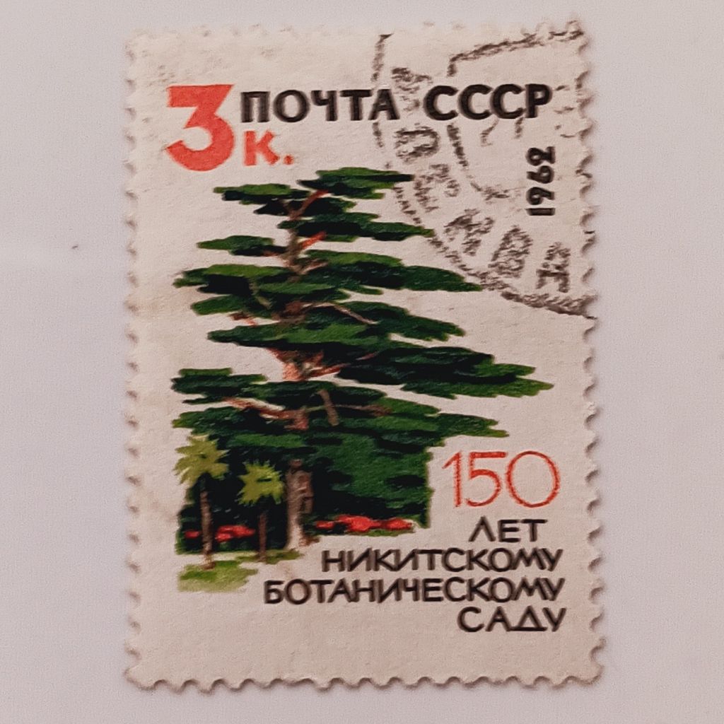 

(AA) Perangko Uni Soviet, USSR 1963 150th Anniversary of Nikitsky Botanical Gardens - Lebanese Cedar 3 kopek Used
