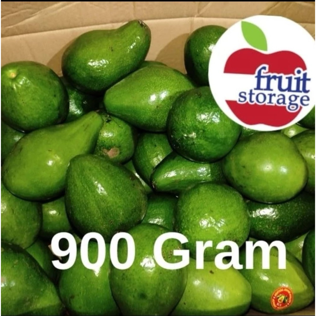 

Alpukat Mentega Super fresh buah lokal Avocado Alpokat