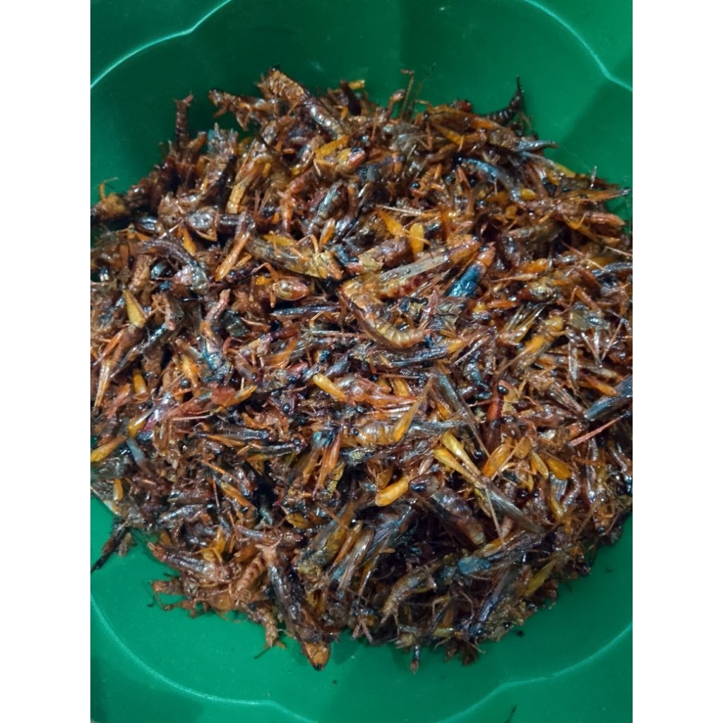

Belalang Goreng 500gr dan 1kg