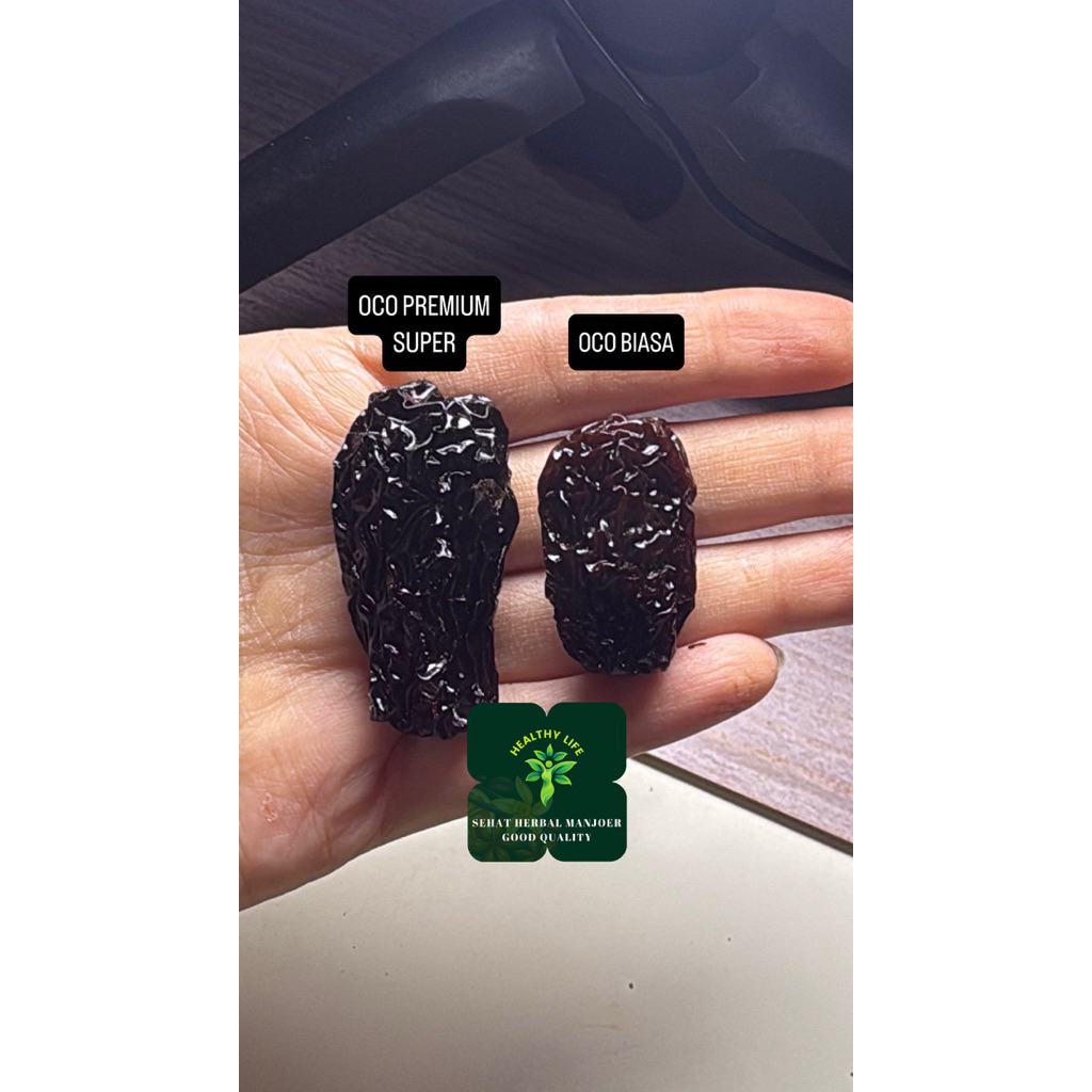 

Plum / Prunes Premium / O co Grade Super! SIZE LEBIH PANJANG 100gr - 250gr