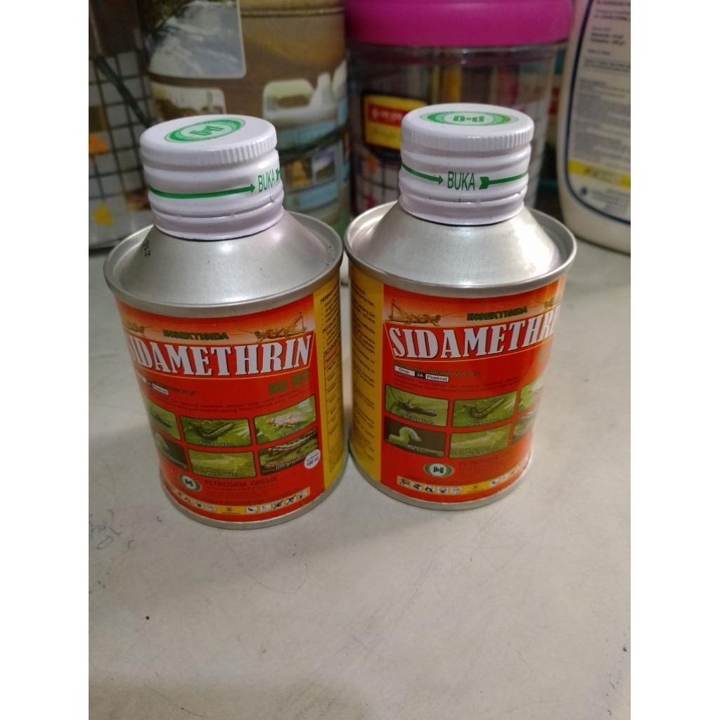 Anti hama tanaman semut ulat belalang