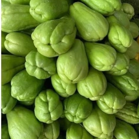 

LABU SIAM / WALUH CINA LABU SAYUR