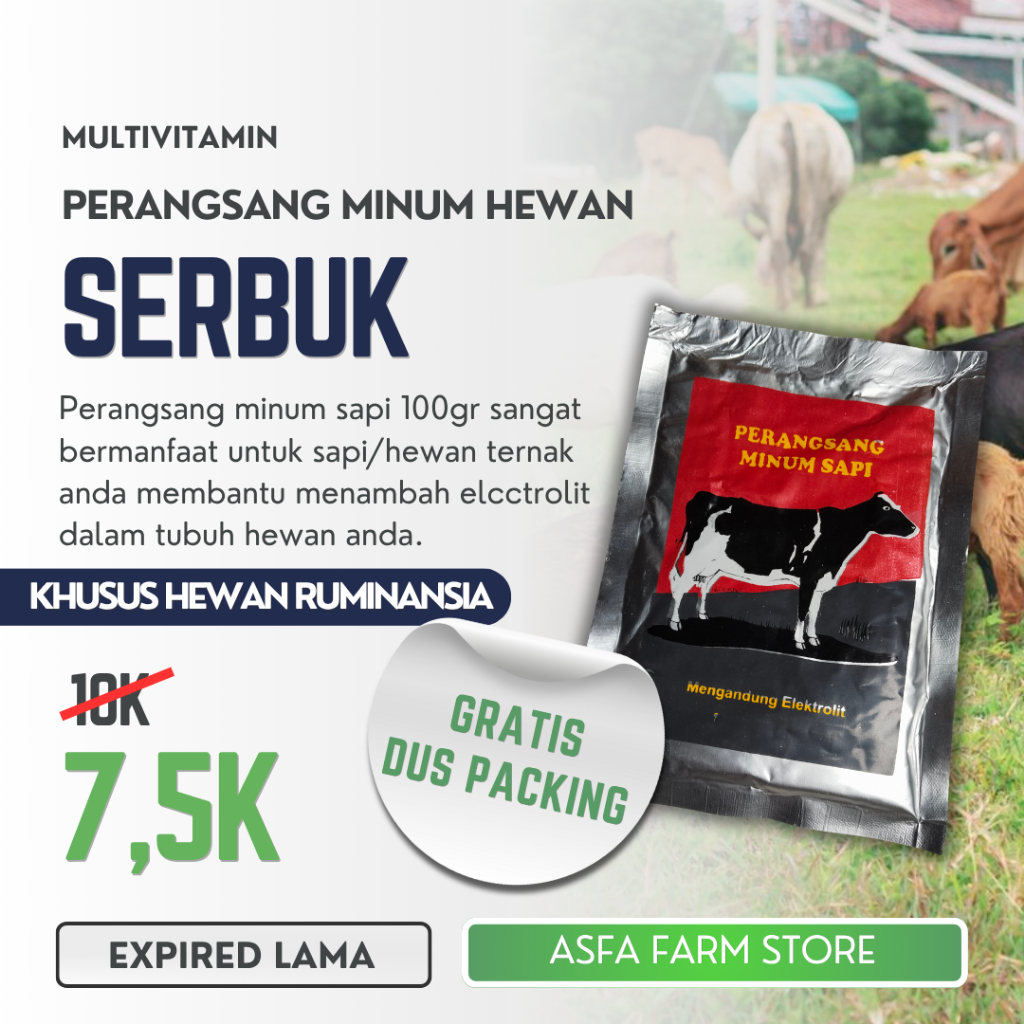 Perangsang Minum Hewan Ternak Sapi