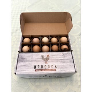 

BROCOCK Telur Ayam Kampung Organik / Organic Pasture Rised Eggs (10 Butir)