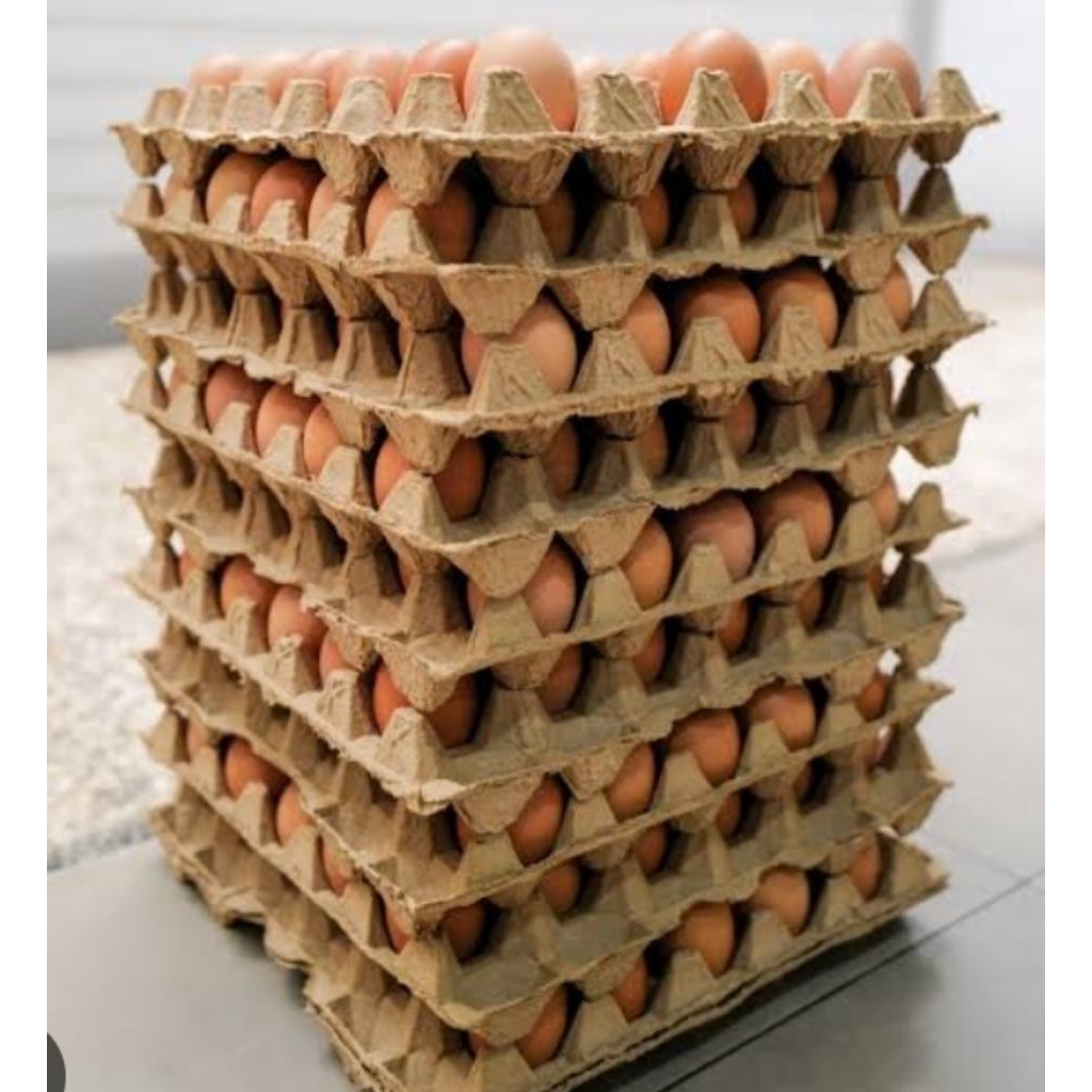 

TELUR AYAM grade A ISI 15 kg