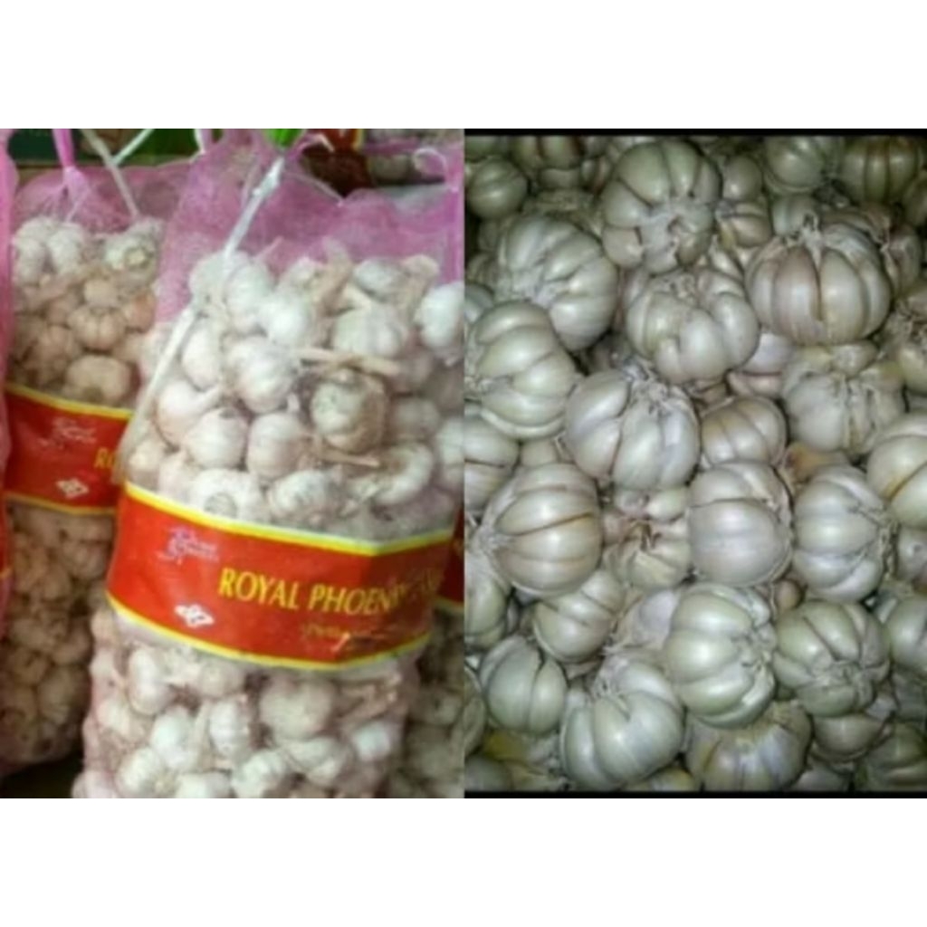 

Bawang puting 1 kg