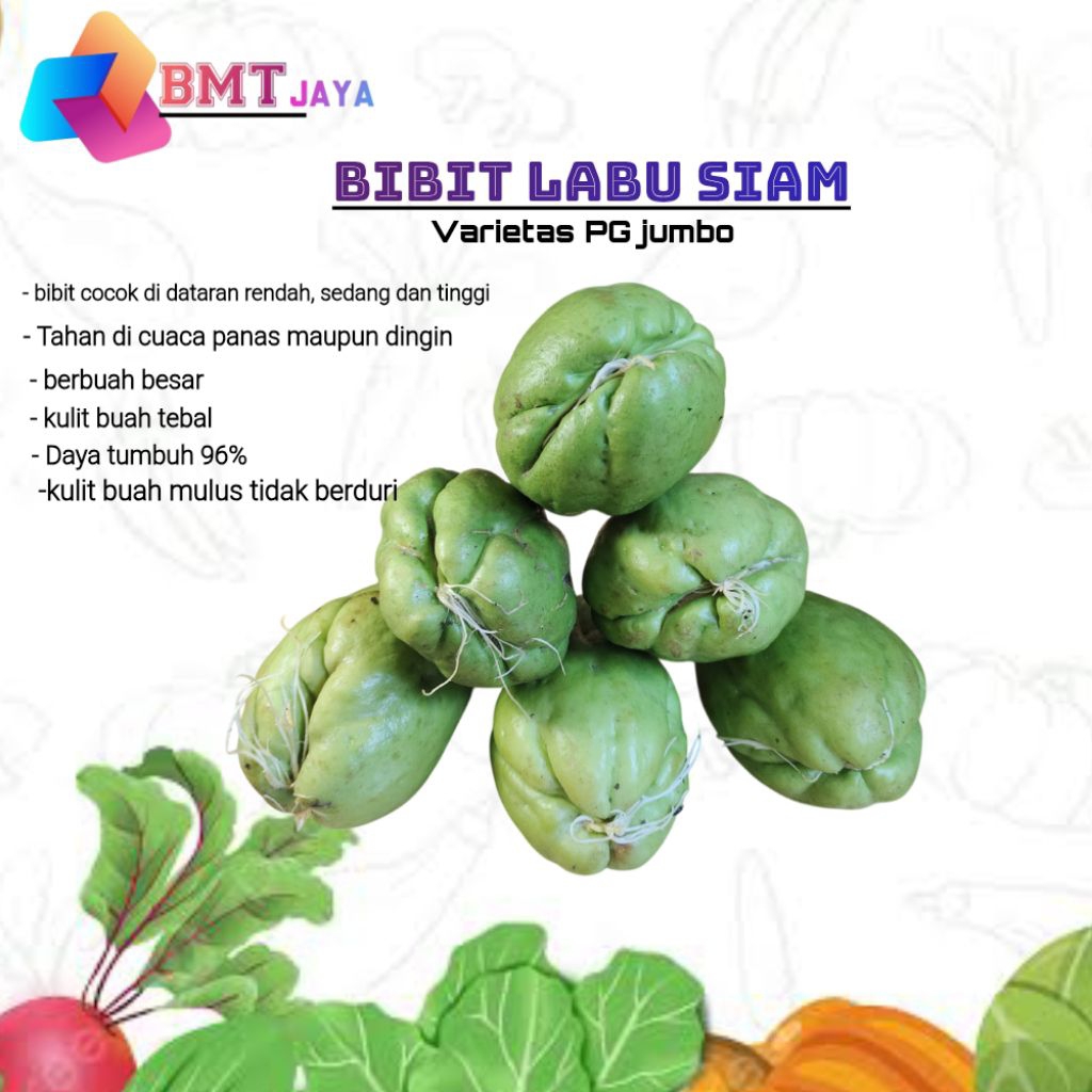 

bibit / benih labu Siam varietas PG jumbo