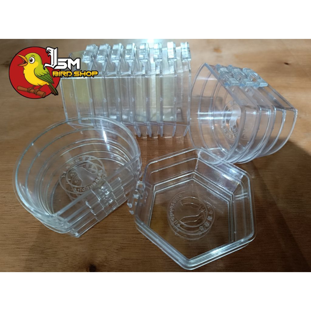 Cepuk Mandi Burung Pleci, Sogon dan Konin