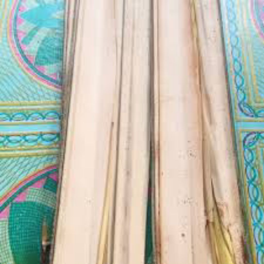 

daun aren muda asli isi 50pcs ada bonus