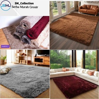 Karpet Lantai/Alas Duduk/Karpet Bulu Rumahan/Karpet Lantai Bulu/Karpet Bulu Rasfur