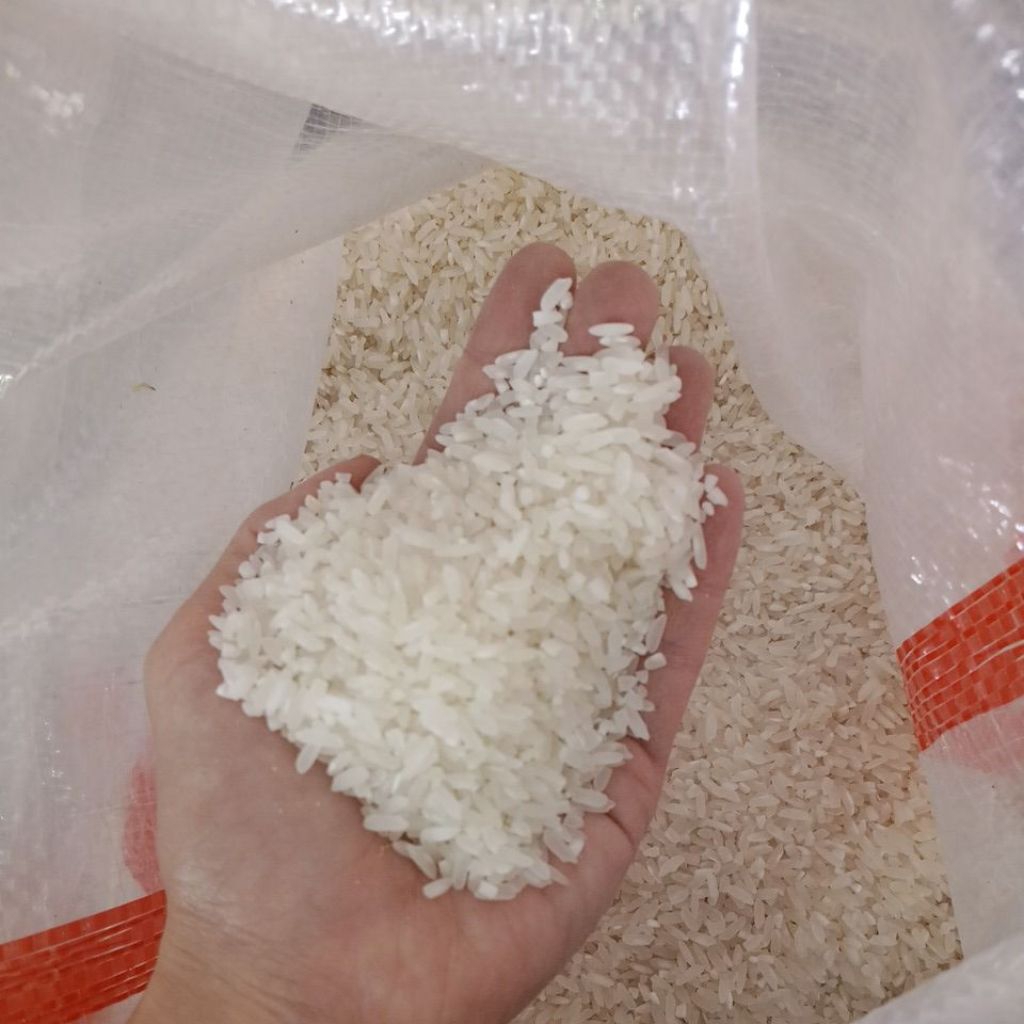 Beras Pulen Sedang - 10 kg