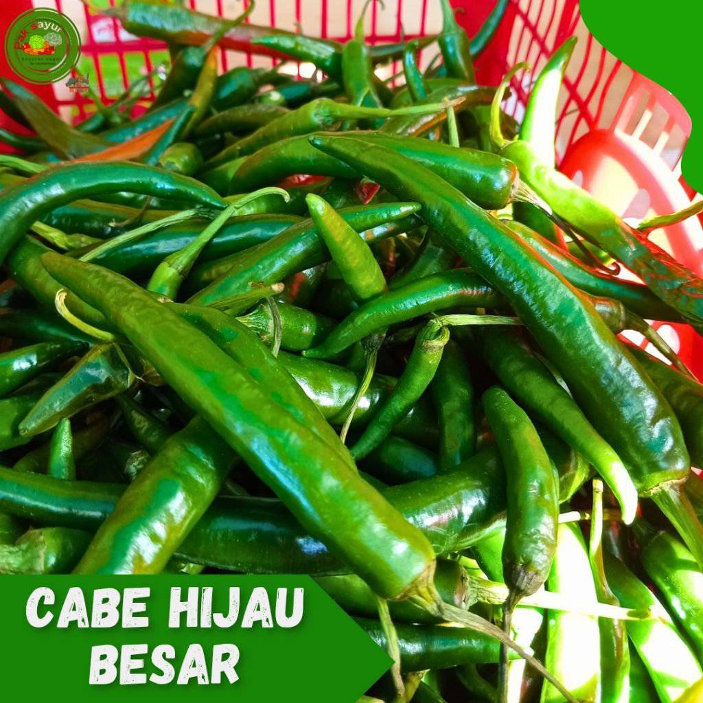 

Cabai Hijau Besar , Cabai Hijau Segar, Cabe Hijau Super , Cabe Hijau Besar - Besar , large green chilies