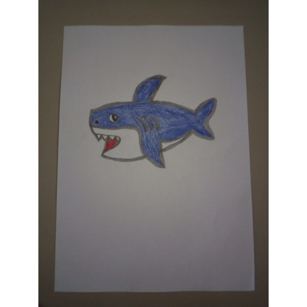 

Gambar Ikan Hiu Besar