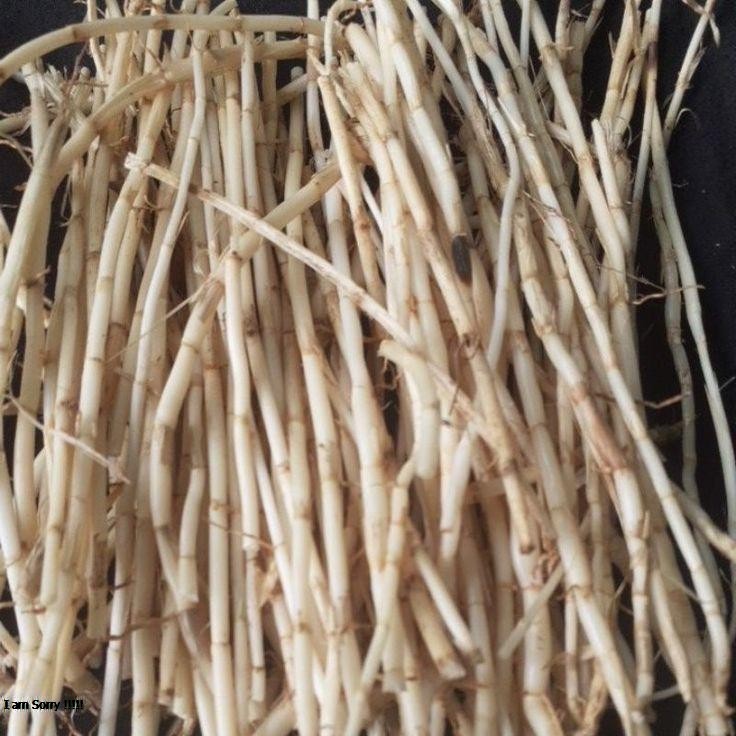 

AKAR ALANG ALANG 100G