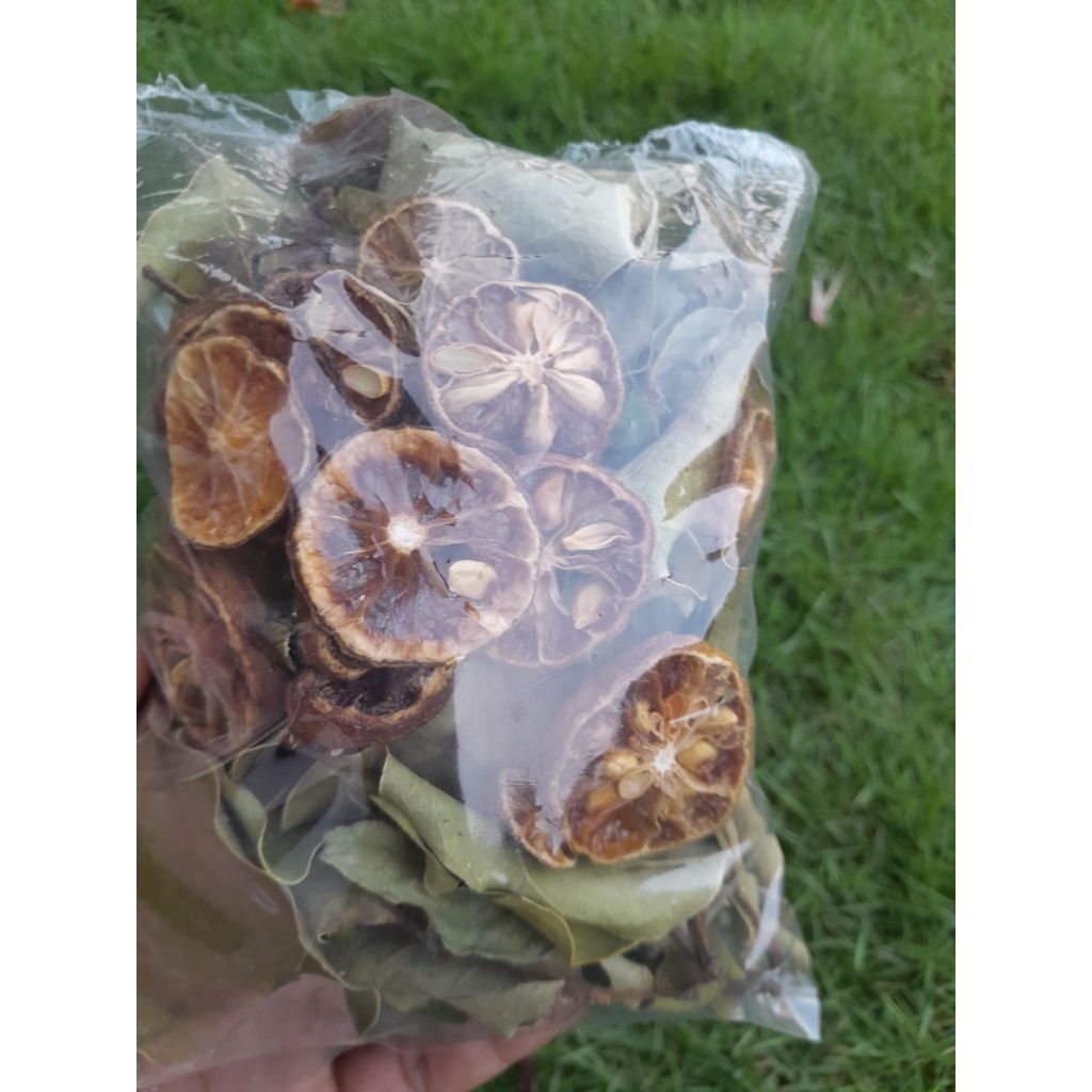 

Terlaris Daun Benalu jeruk kering 70 grm