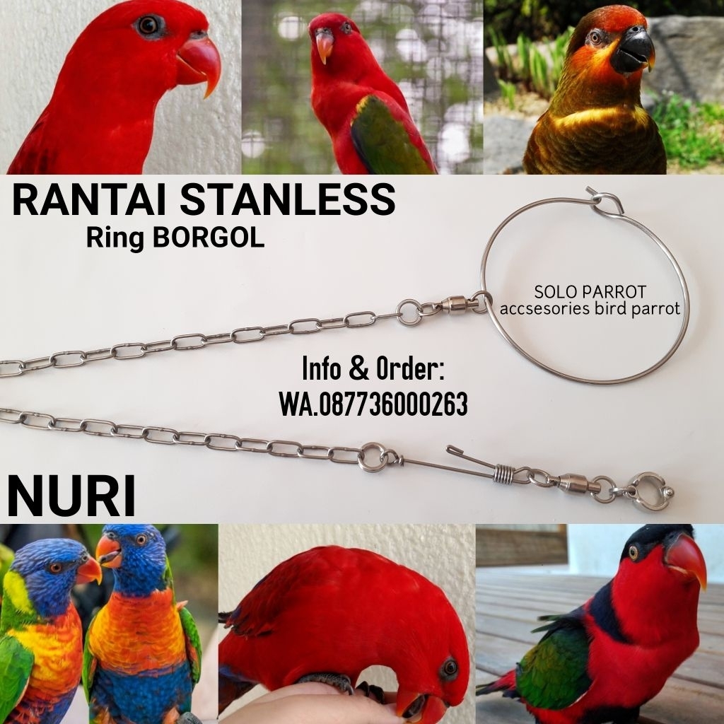 Rantai Nuri Pelangi