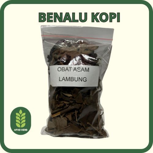 

Benalu Kopi 500gr Untuk Asam Lambung Gerd Sangat Langsung Terasa Terbukti Khasiatnya