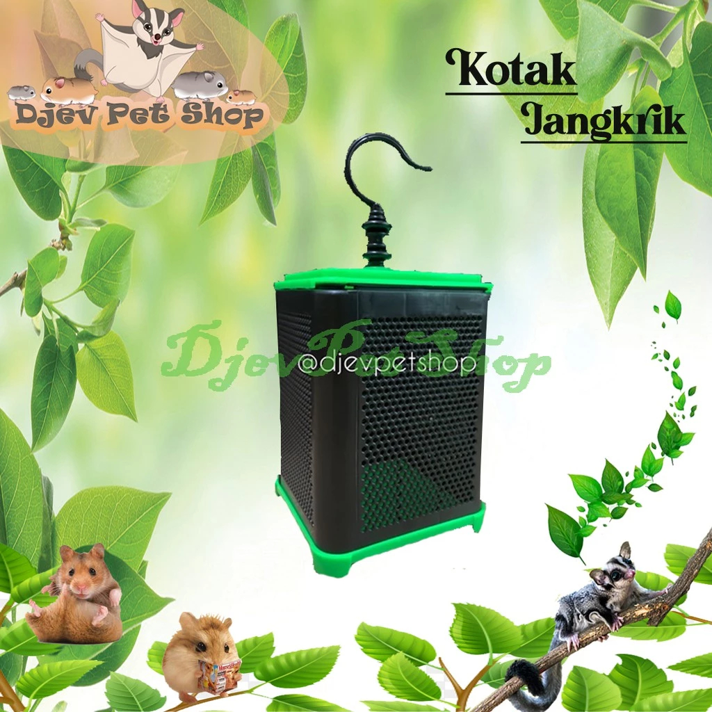 KOTAK JANGKRIK || KOTAK HEWAN || KOTAK PENGIRIMAN HEWAN