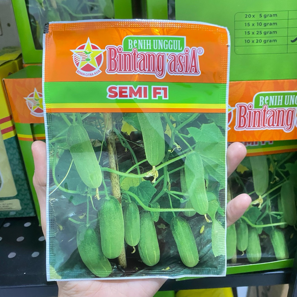 BENIH TIMUN SEMI F1 TIMUN BEBY 20gr BINTANG ASIA