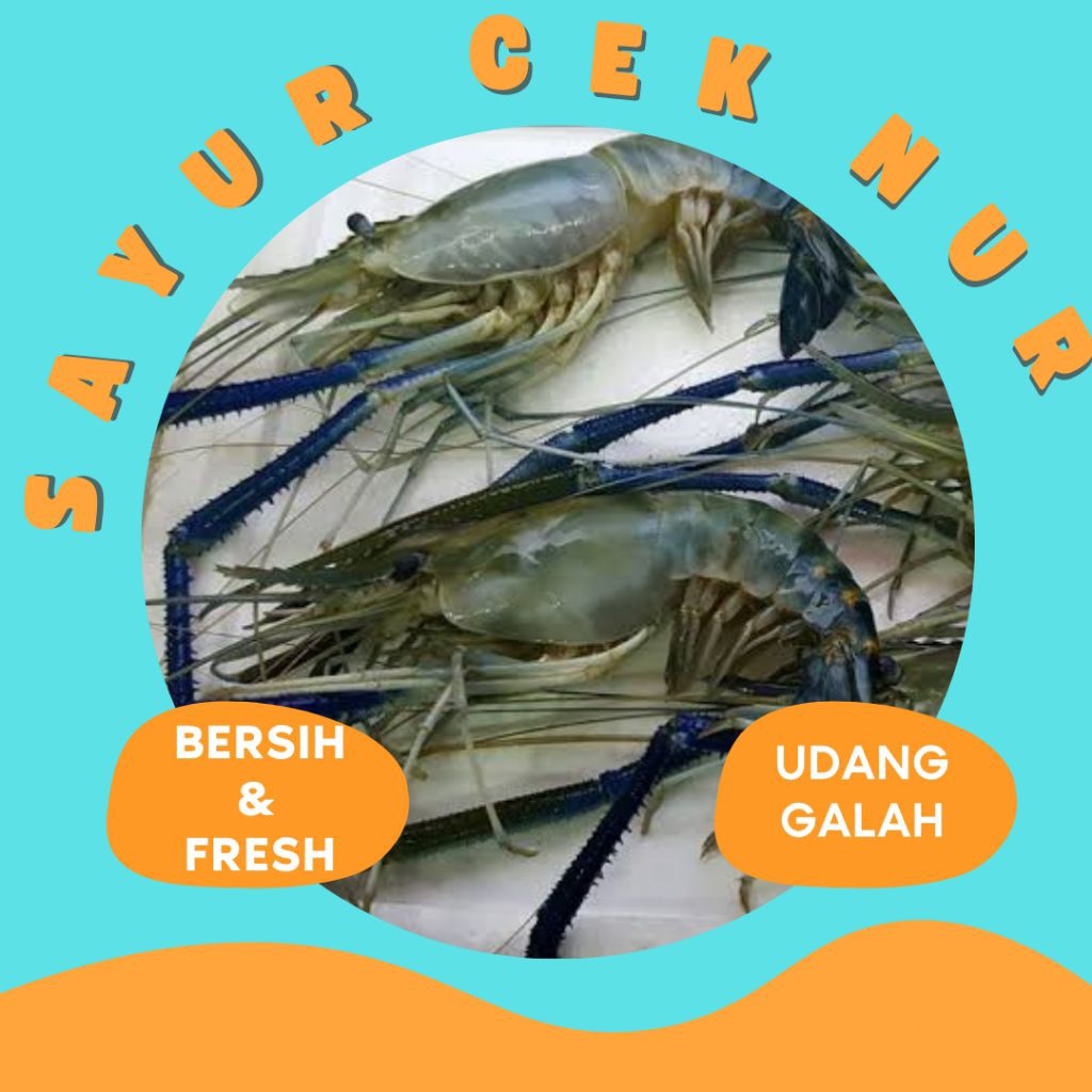 

UDANG GALA / SATANG FRESH PALEMBANG