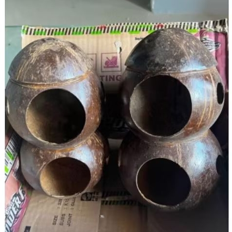 Glodok Burung Lovebird Tingkat Batok Kelapa