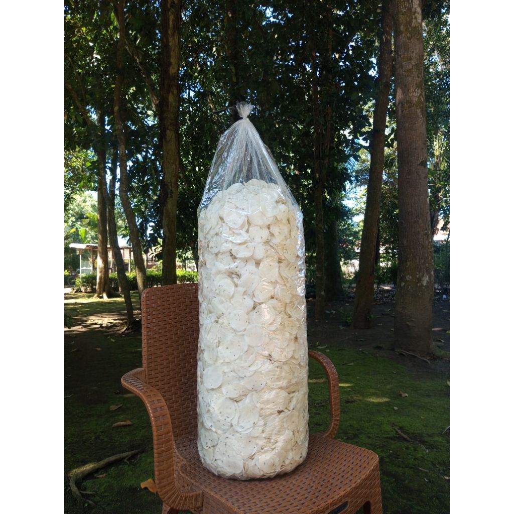

PAKET USAHA OPAK SINGKONG 5 Kg/OPAK SINGKONG MENTAH/OPAK SINGKONG/AMBAL KEBUMEN