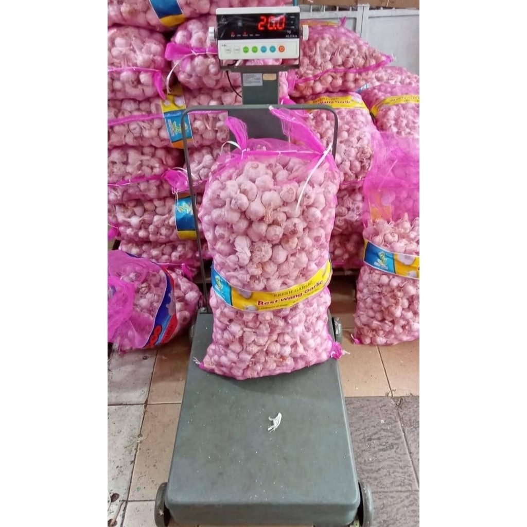 

bawang putih super