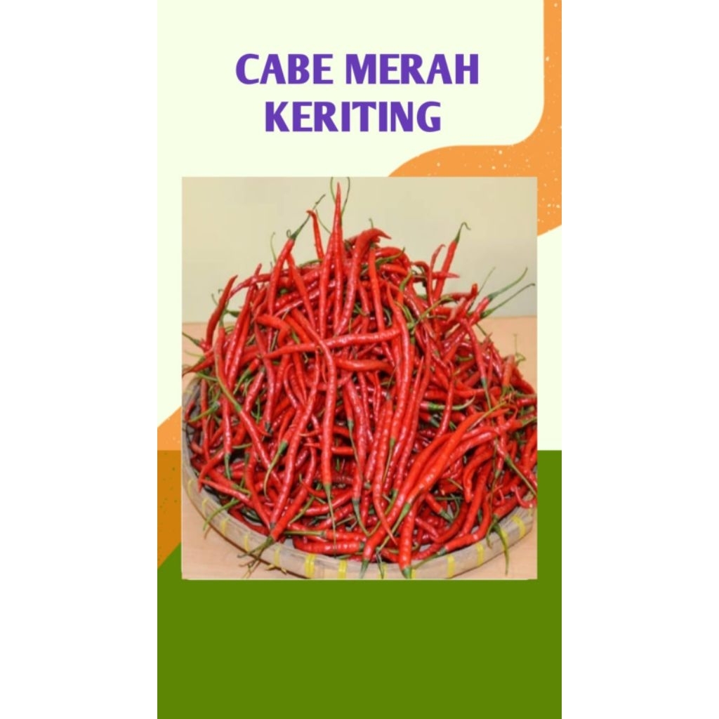 

CABE MERAH KERITING BERSIH DAN SEGAR - PALEMBANG