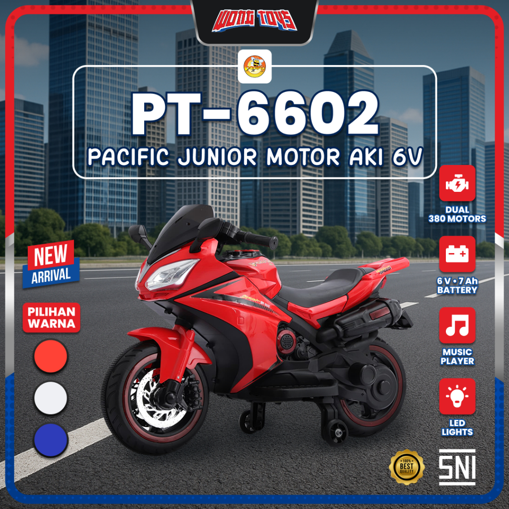 PT-6602 Pacific Junior Motor Aki 6V